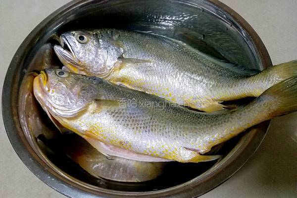 酱烧黄鱼豆腐的做法图解1