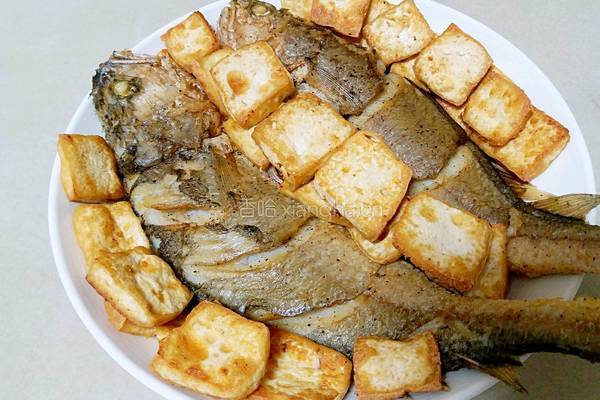 酱烧黄鱼豆腐的做法图解11