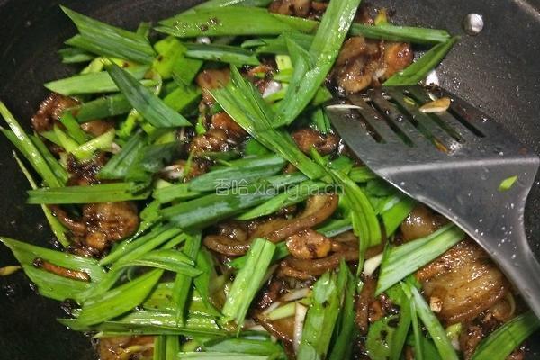 豆豉回锅肉的做法图解12