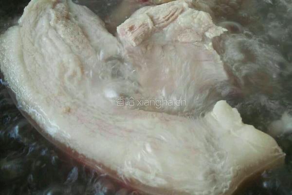 白菜冻豆腐炖粉条的做法图解5