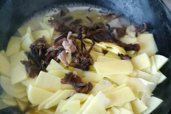 榛蘑土豆片的做法图解5