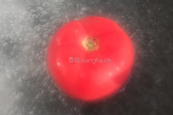 西红柿鲜肉馄饨的做法图解2