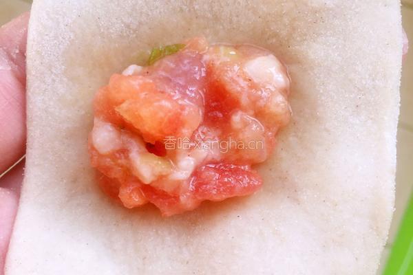 西红柿鲜肉馄饨的做法图解7
