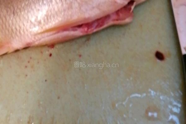 牦牛奶黄翅鱼汤的做法图解1