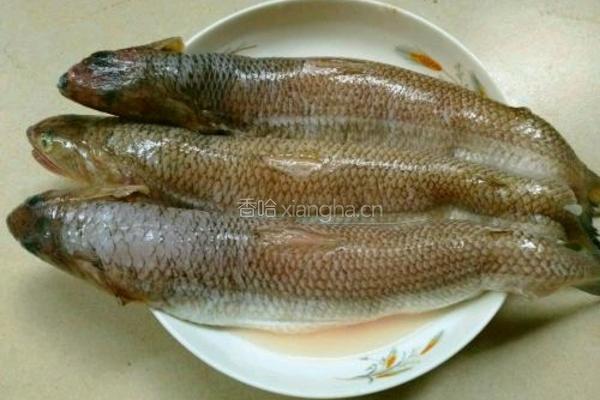 香葱奎龙鱼肉饼的做法图解1