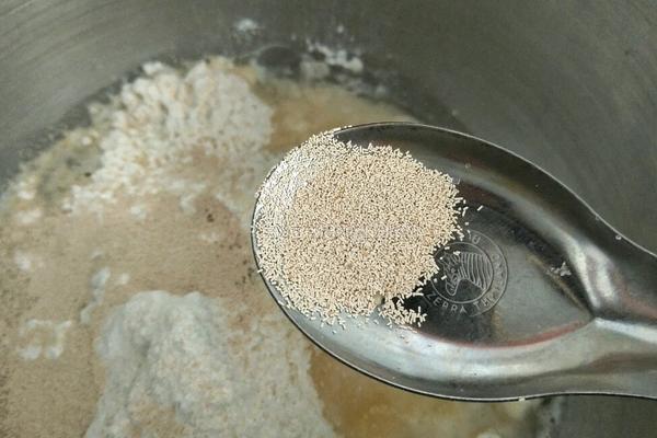 梦想当土豆的包子的做法图解5