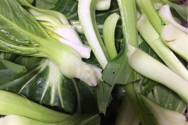 素炒大白菜的做法图解1