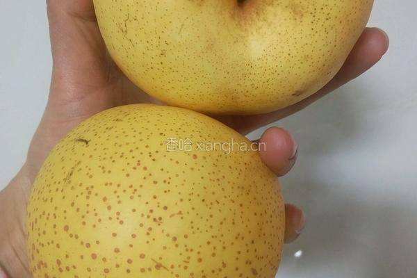 苹果梨汁的做法图解1