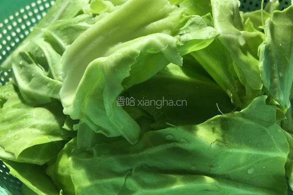手撕包菜煸澳门烧肉的做法图解1