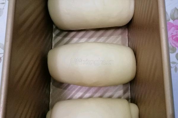 一次发酵牛奶吐司的做法图解13