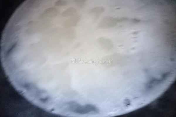 土豆猪肉闷饭的做法图解3
