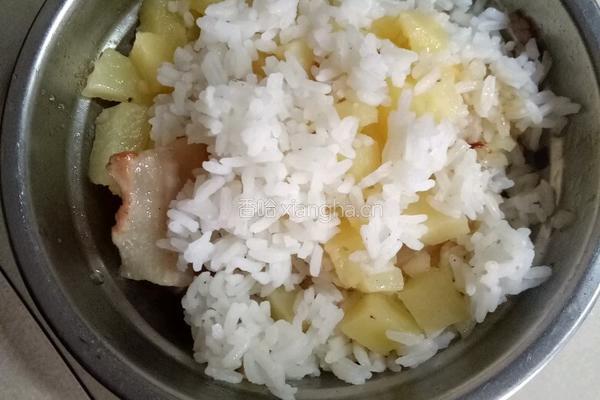 土豆猪肉闷饭的做法图解12