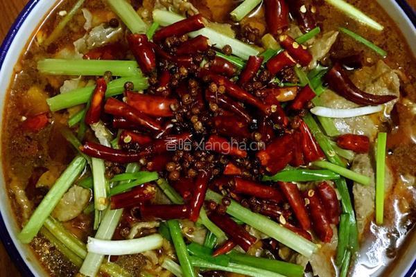 水煮牛肉的做法图解16