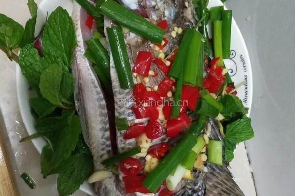 薄荷蒸罗非鱼的做法图解3