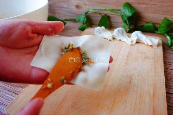 猪肉荠菜馄饨#年夜饭的做法图解11