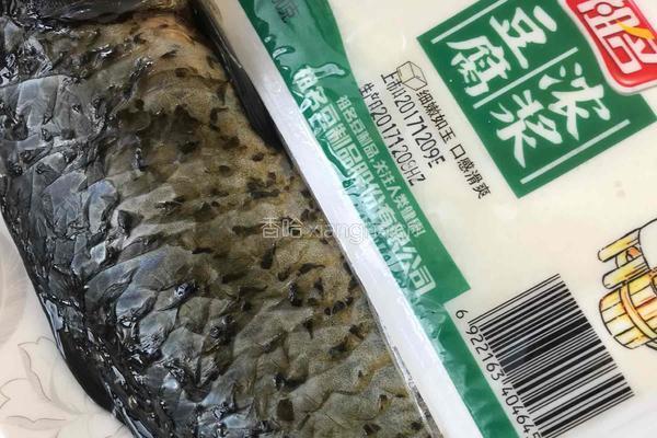 河鲫鱼豆腐汤的做法图解1