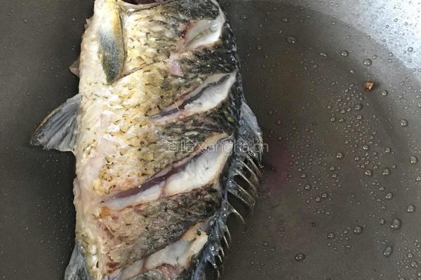 河鲫鱼豆腐汤的做法图解3