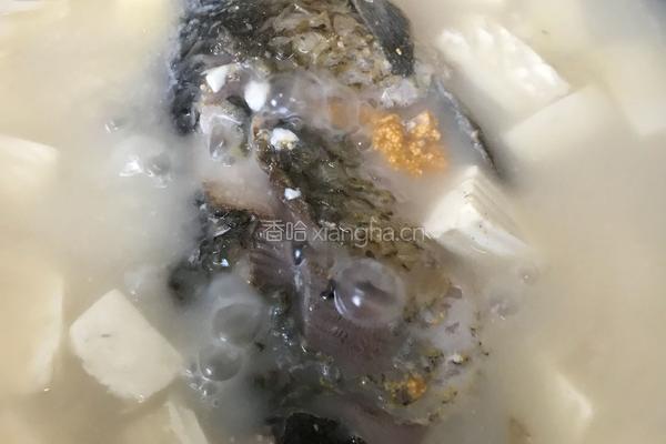 河鲫鱼豆腐汤的做法图解7