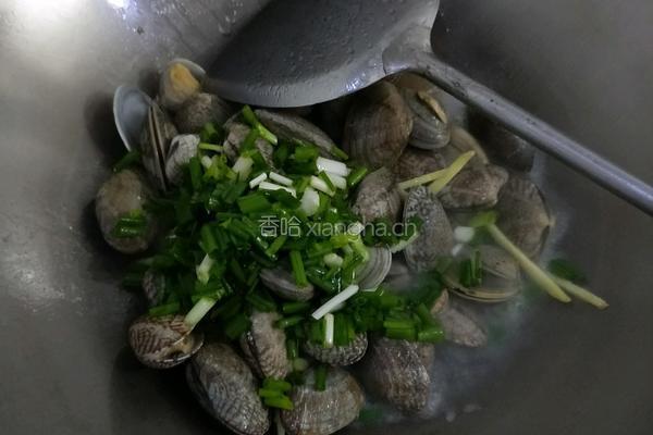 葱爆花蛤的做法图解6