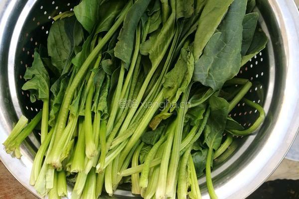 家常炝菠菜的做法图解1