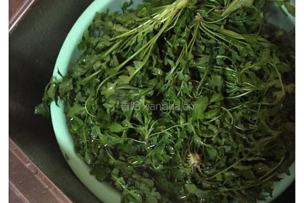 手工地菜饺子的做法图解1