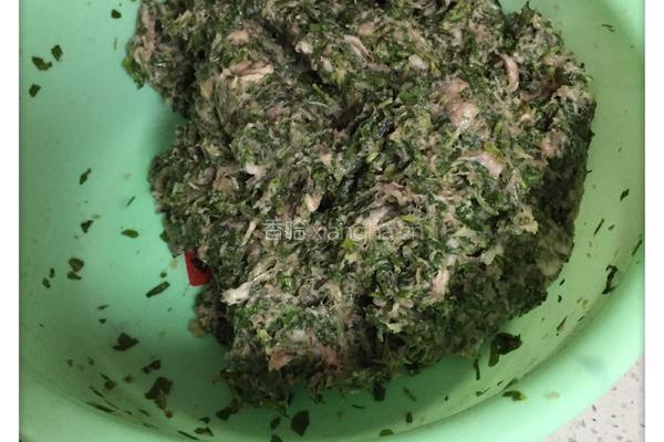 地菜春卷的做法图解8