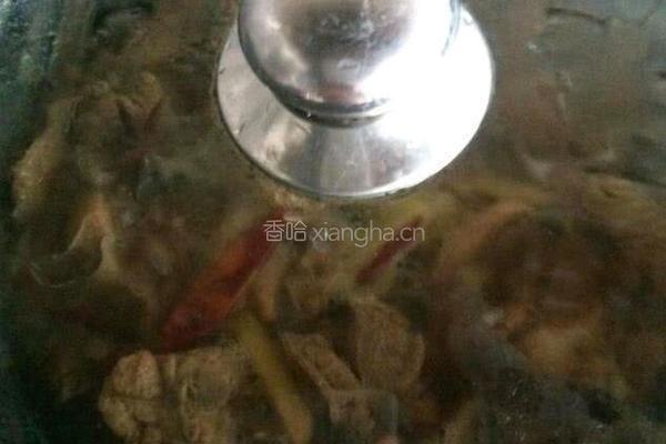 啤酒鸭的做法图解4