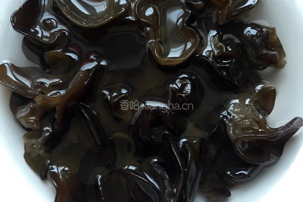 木耳炒白菜的做法图解2