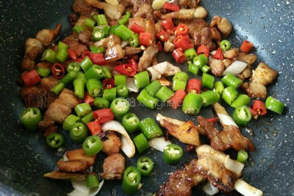 香辣小炒肉的做法图解8