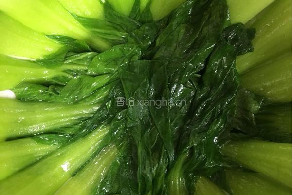 滑蛋虾仁的做法图解4