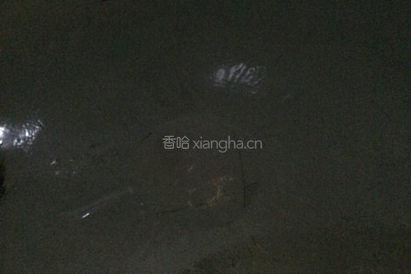 干煸四季豆的做法图解4