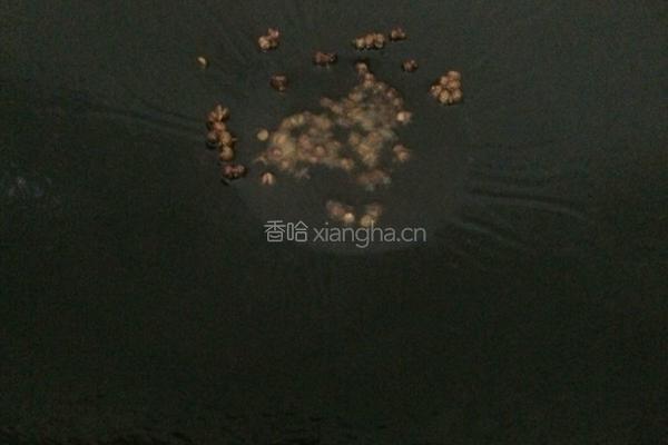 干煸四季豆的做法图解5