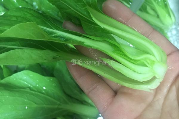 蚝油小白菜的做法图解1