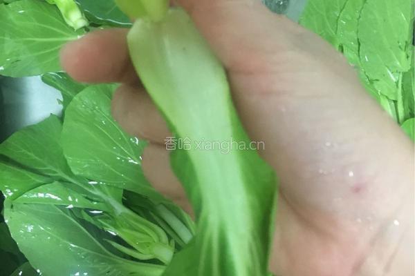 蚝油小白菜的做法图解2