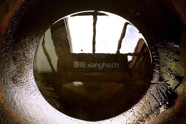 干煸小白鱼的做法图解5