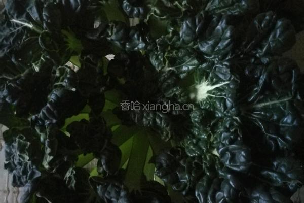 [家常菜]清炒塔菜的做法图解1