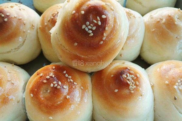 蜂蜜面包的做法图解16