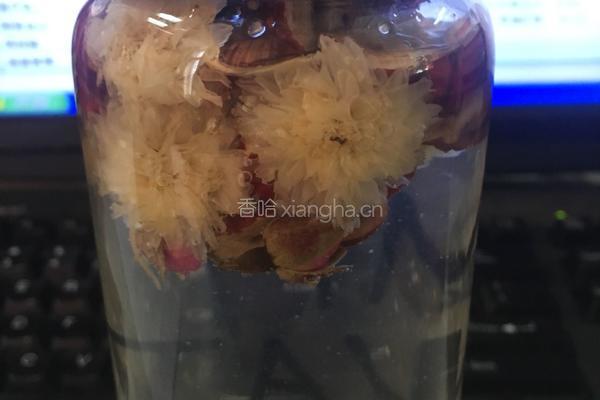 玫瑰菊花茶的做法图解4