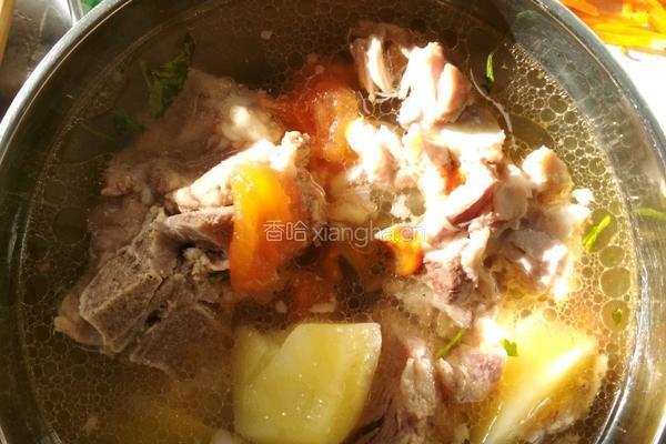 番茄土豆清炖排骨的做法图解6
