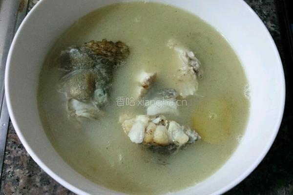 鲈鱼汤的做法图解5