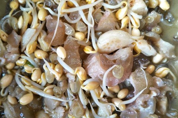 牛筋烩豆芽