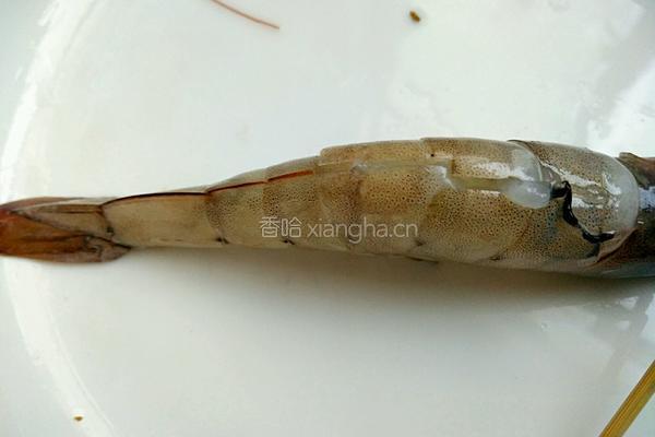 麻辣香锅虾的做法图解4