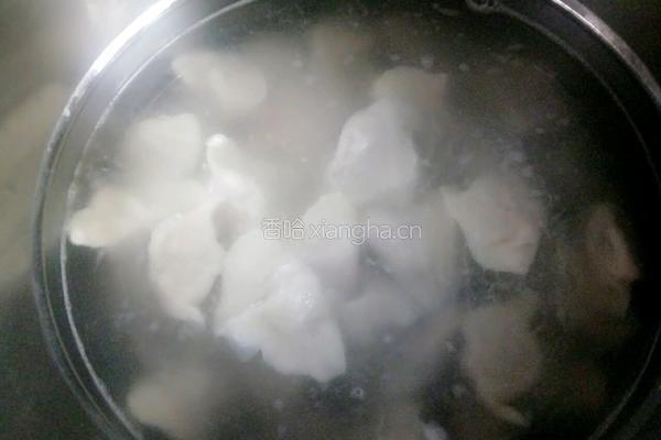 冬至之羊肉胡萝卜饺子的做法图解19