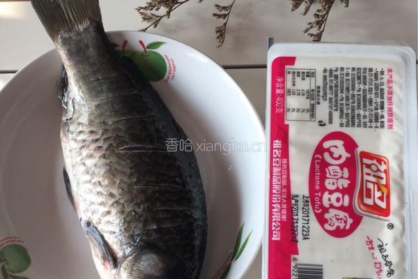 河鲫鱼豆腐汤的做法图解1