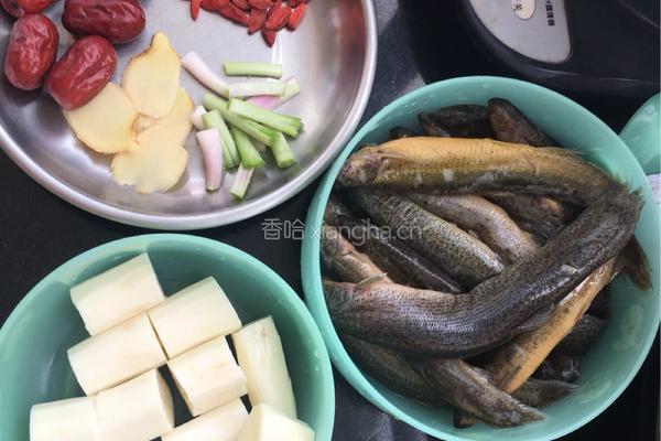 枣杞山药泥鳅汤的做法图解1
