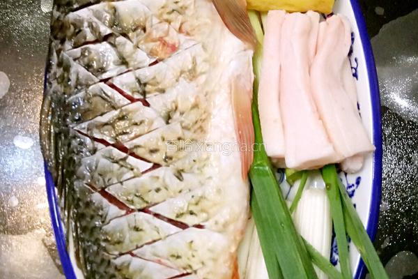 鲁菜大师蒋家菜酱烧炖鲤鱼的做法图解2