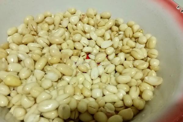 花生米肉皮冻的做法图解1