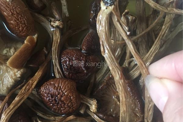 茶树菇排骨汤的做法图解1