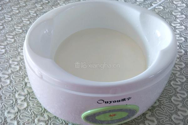 益生菌酸奶的做法图解3