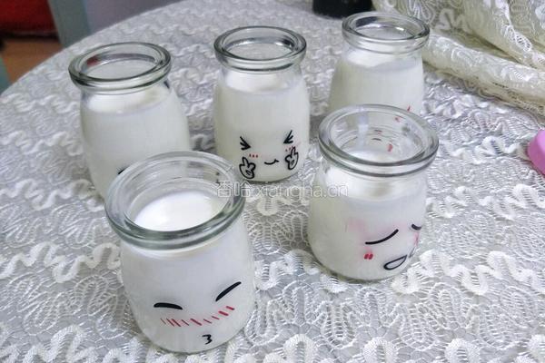 益生菌酸奶的做法图解6
